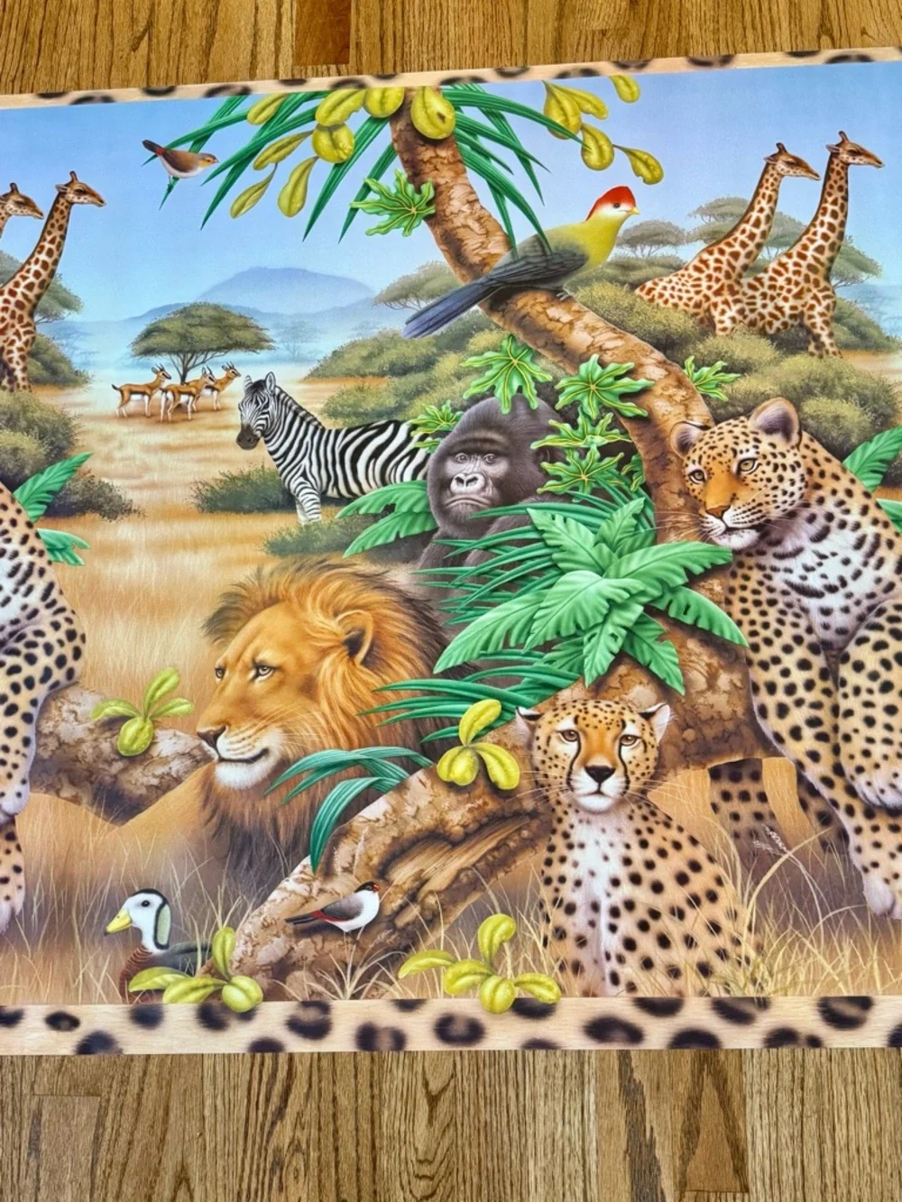 Unknown vintage safari